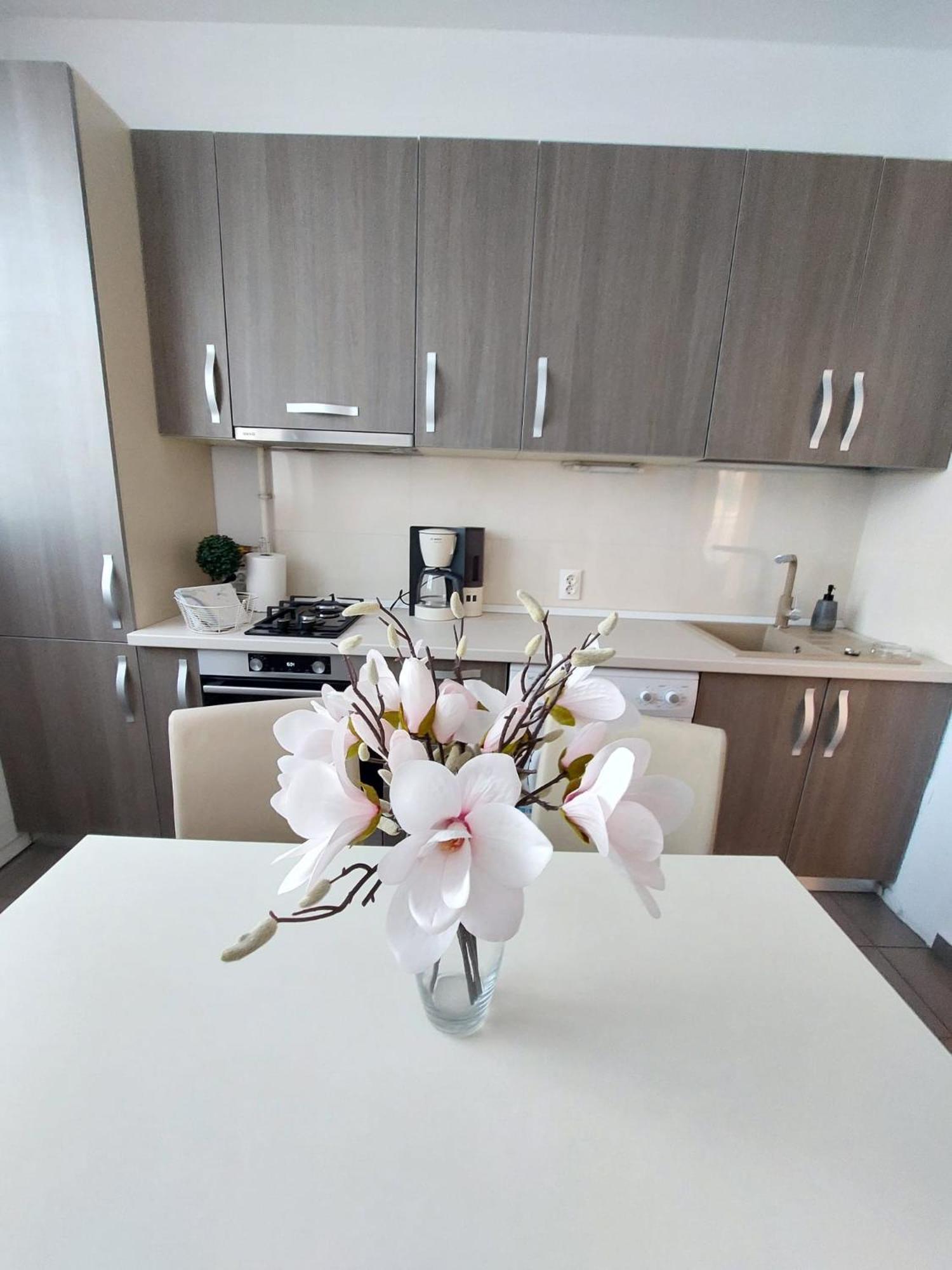 Sweet Residence Apartment Arad Dış mekan fotoğraf